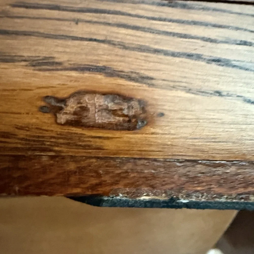 Antique Oak Sewing Notions Box Finger Joint Push Button Velvet Lined 8.5
